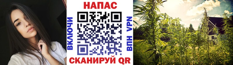 mega зеркало  даркнет официальный сайт  Бугульма  МАРИХУАНА White Widow  дарнет шоп 